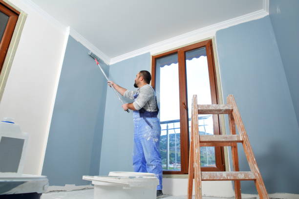 Professional Mold Removal in Lamont, MI