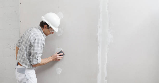 Best Asbestos and Lead Testing During Mold Inspection  in Lamont, MI