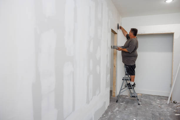 Best Biohazard Mold Removal  in Lamont, MI