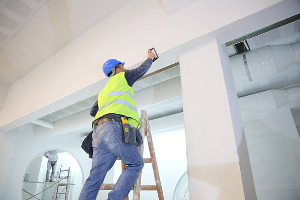 Best Mold Documentation for Insurance Claims  in Lamont, MI