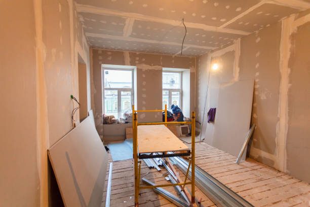 Best Mold Remediation for Healthcare Facilities  in Lamont, MI